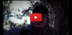 Embedded thumbnail for Pantanal Ecotrips -Walking on the Jungle